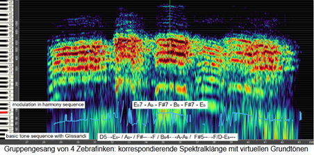 Klangspektrum Amselgesang 1. Strophe